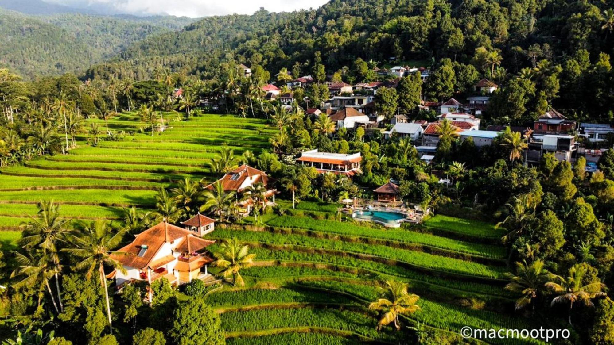 Lesong Hotel And Restaurant Munduk Exterior foto