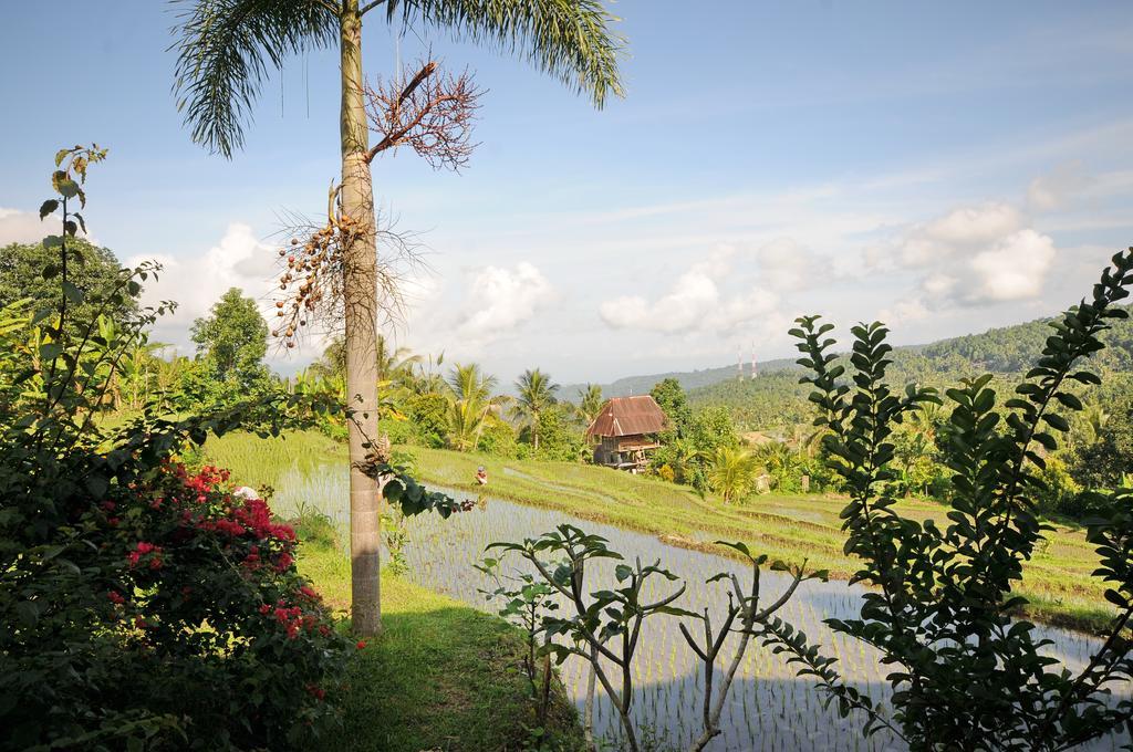 Lesong Hotel And Restaurant Munduk Exterior foto